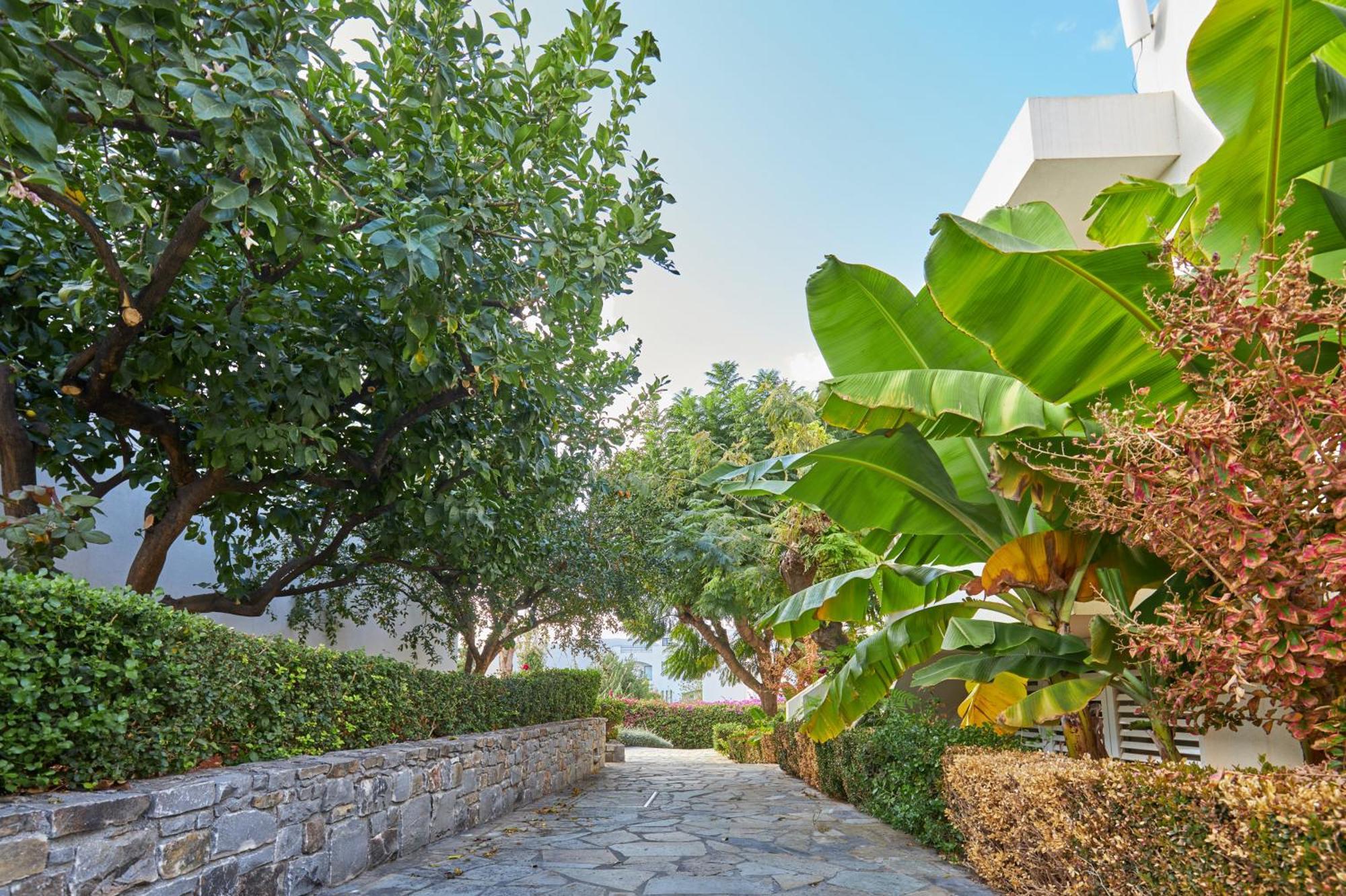 Kyknos Beach Hotel & Bungalows マリア エクステリア 写真